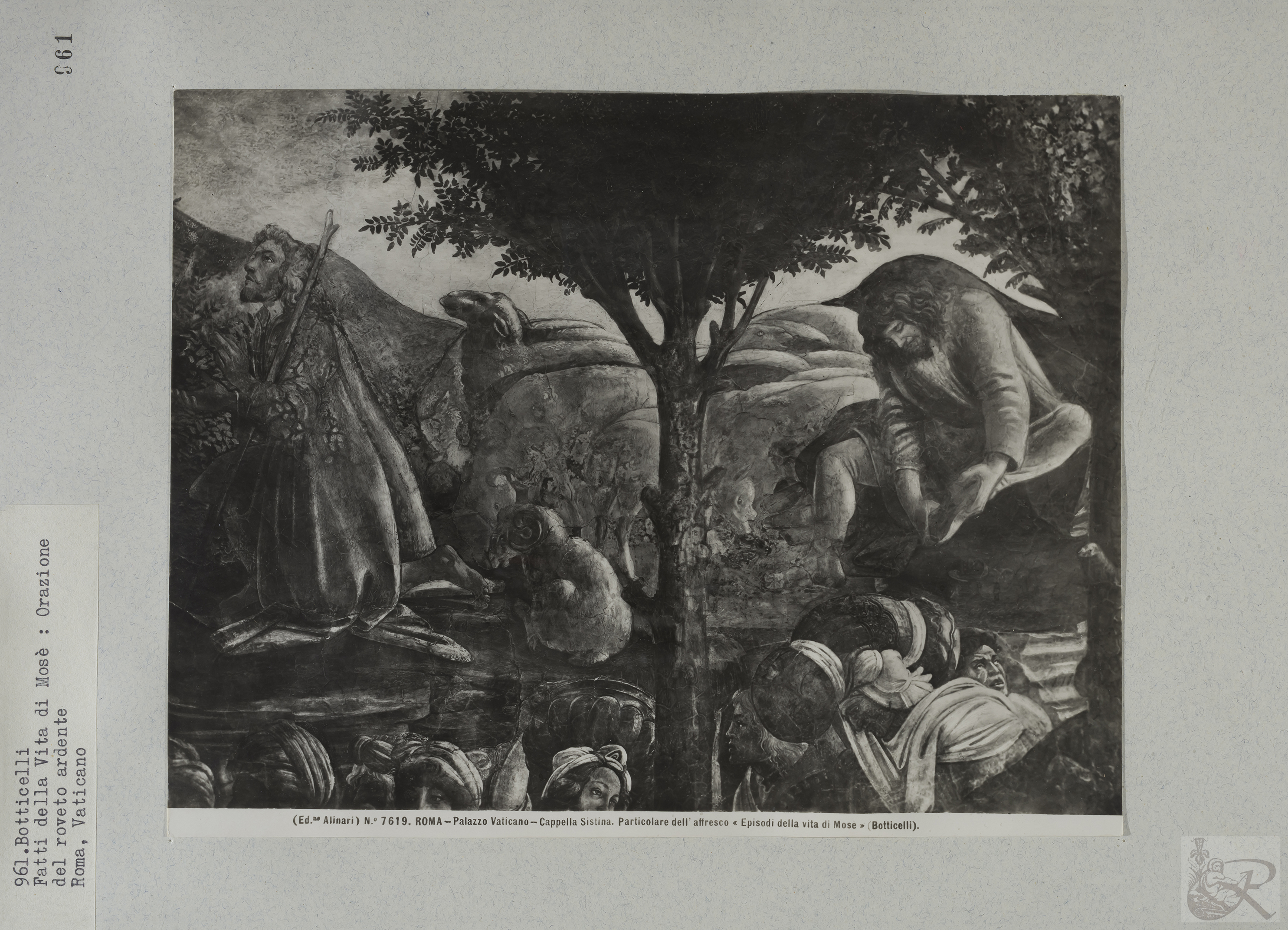 Immagine di anteprima