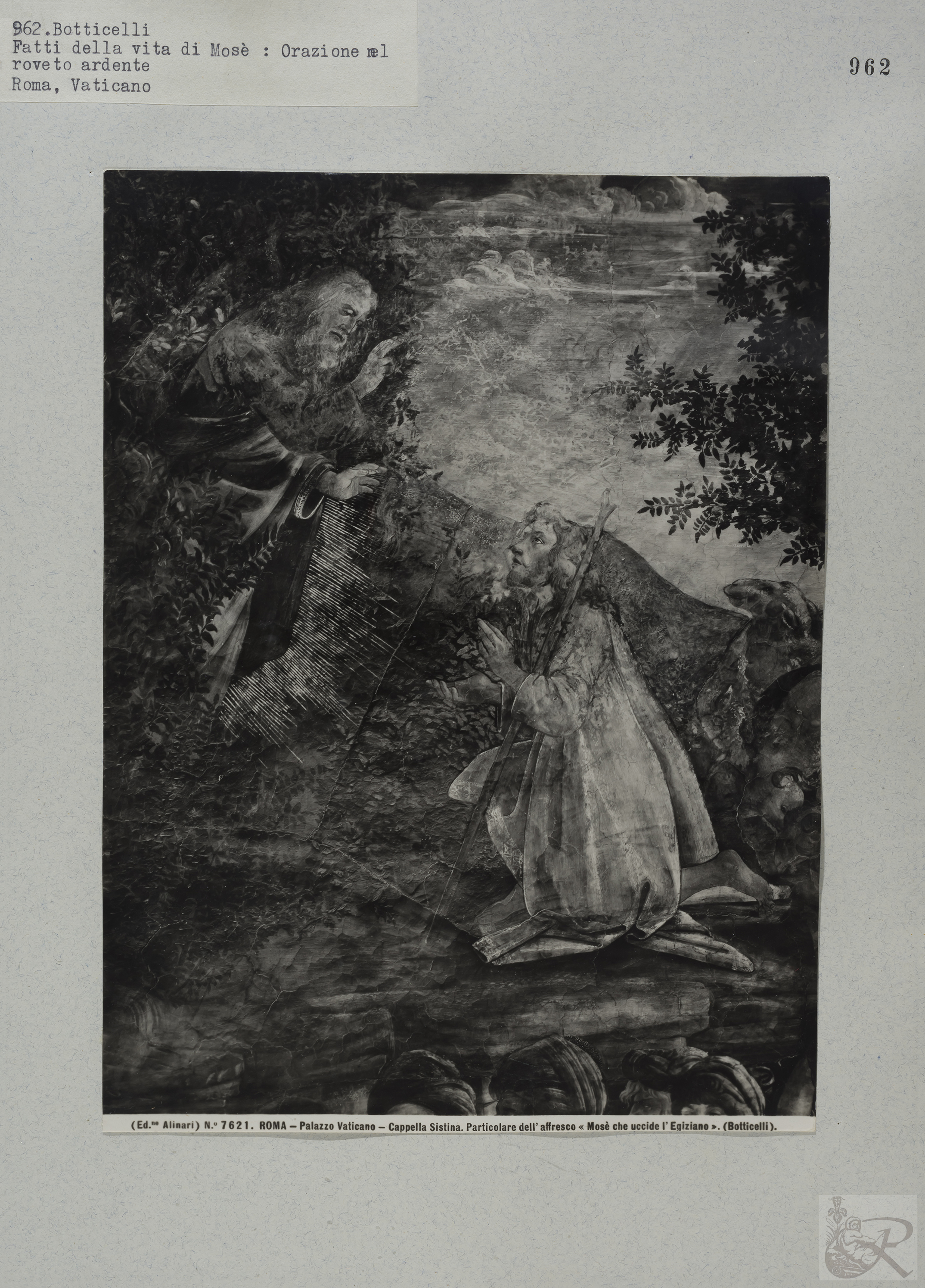 Immagine di anteprima