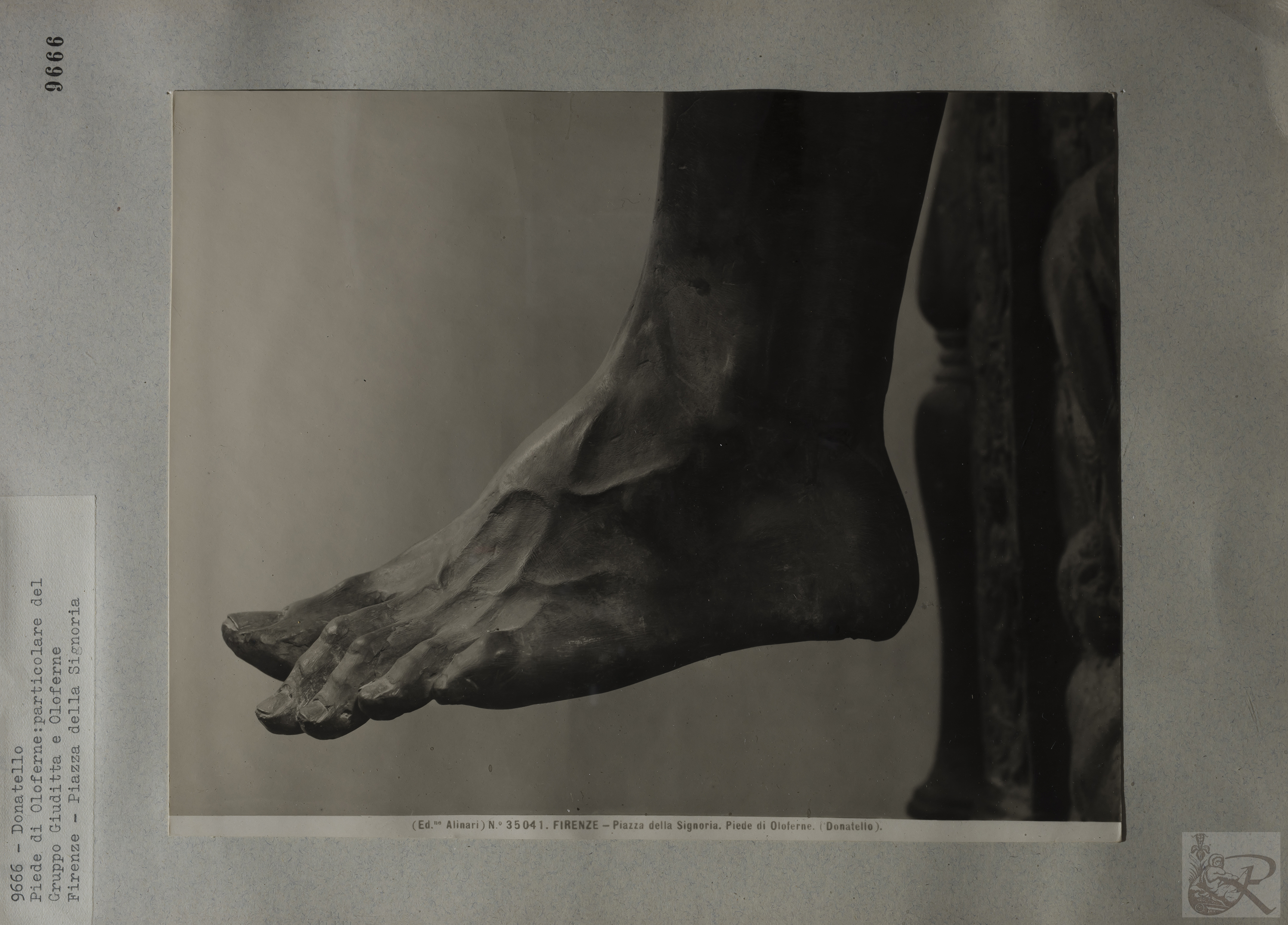 Immagine di anteprima