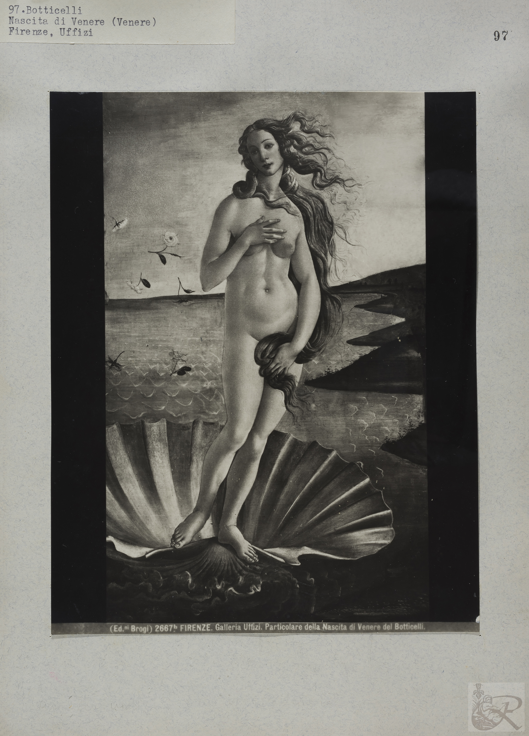 Immagine di anteprima