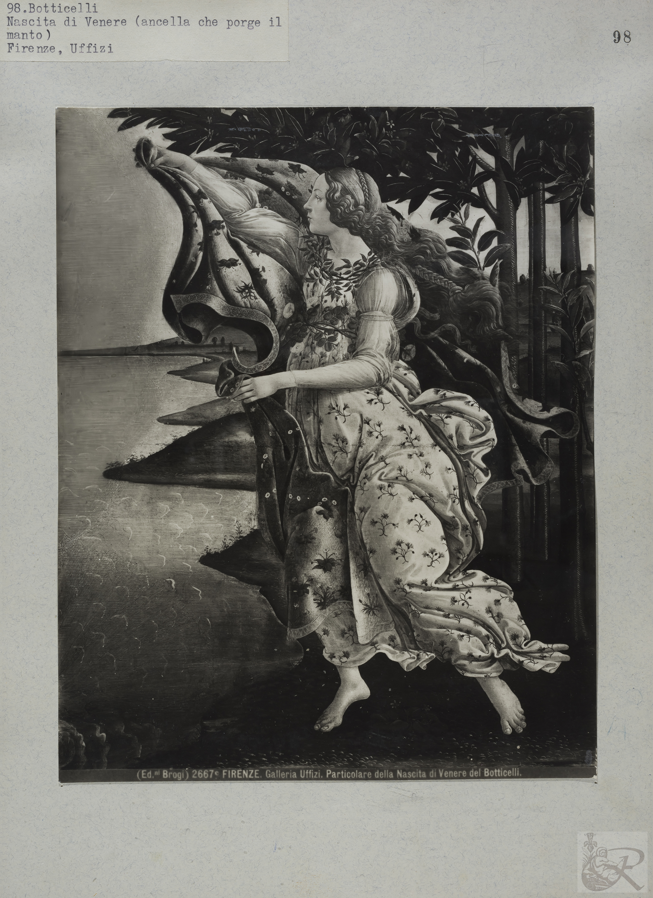 Immagine di anteprima