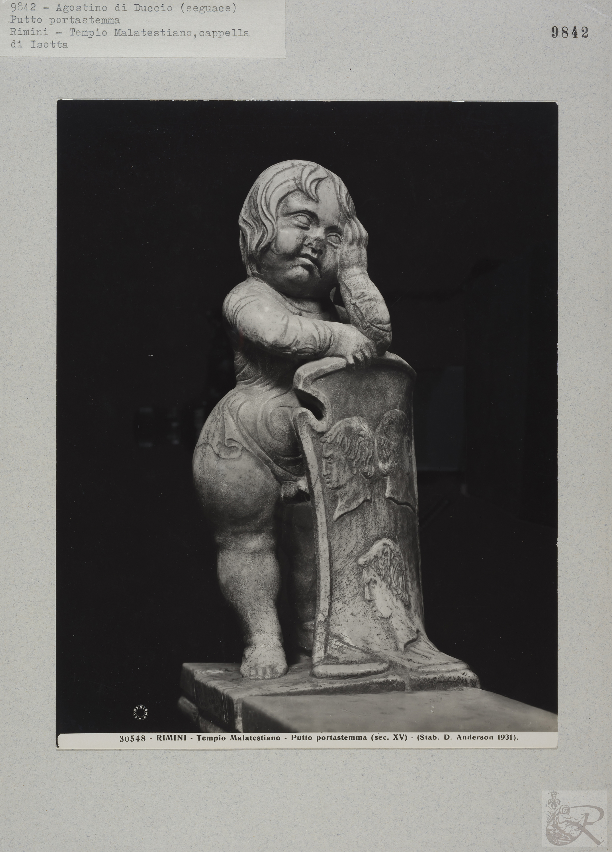 Immagine di anteprima