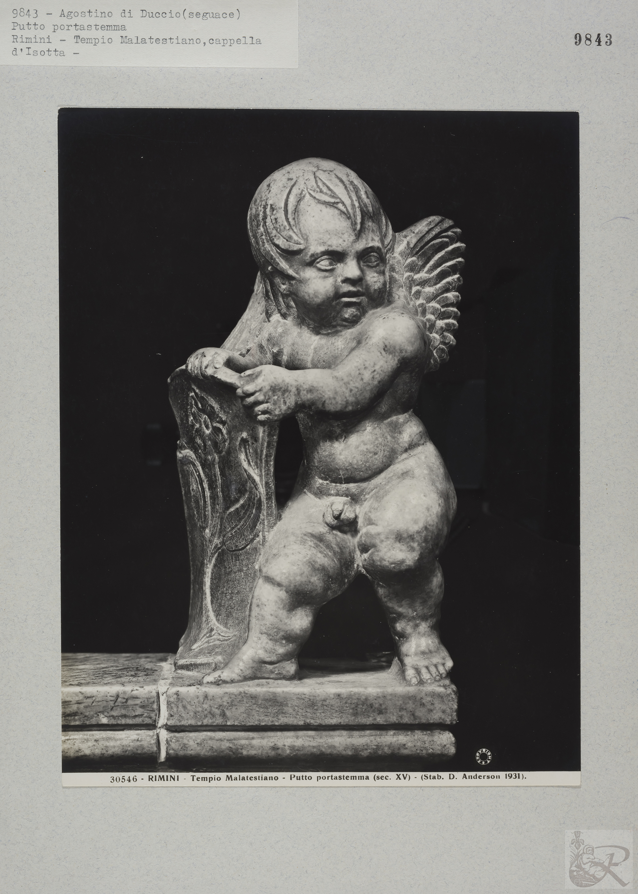 Immagine di anteprima