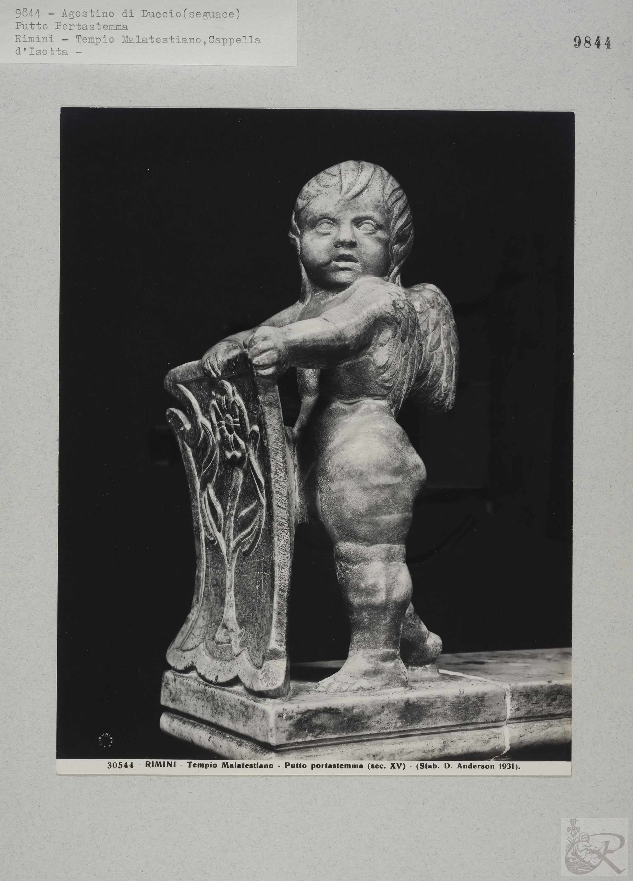 Immagine di anteprima