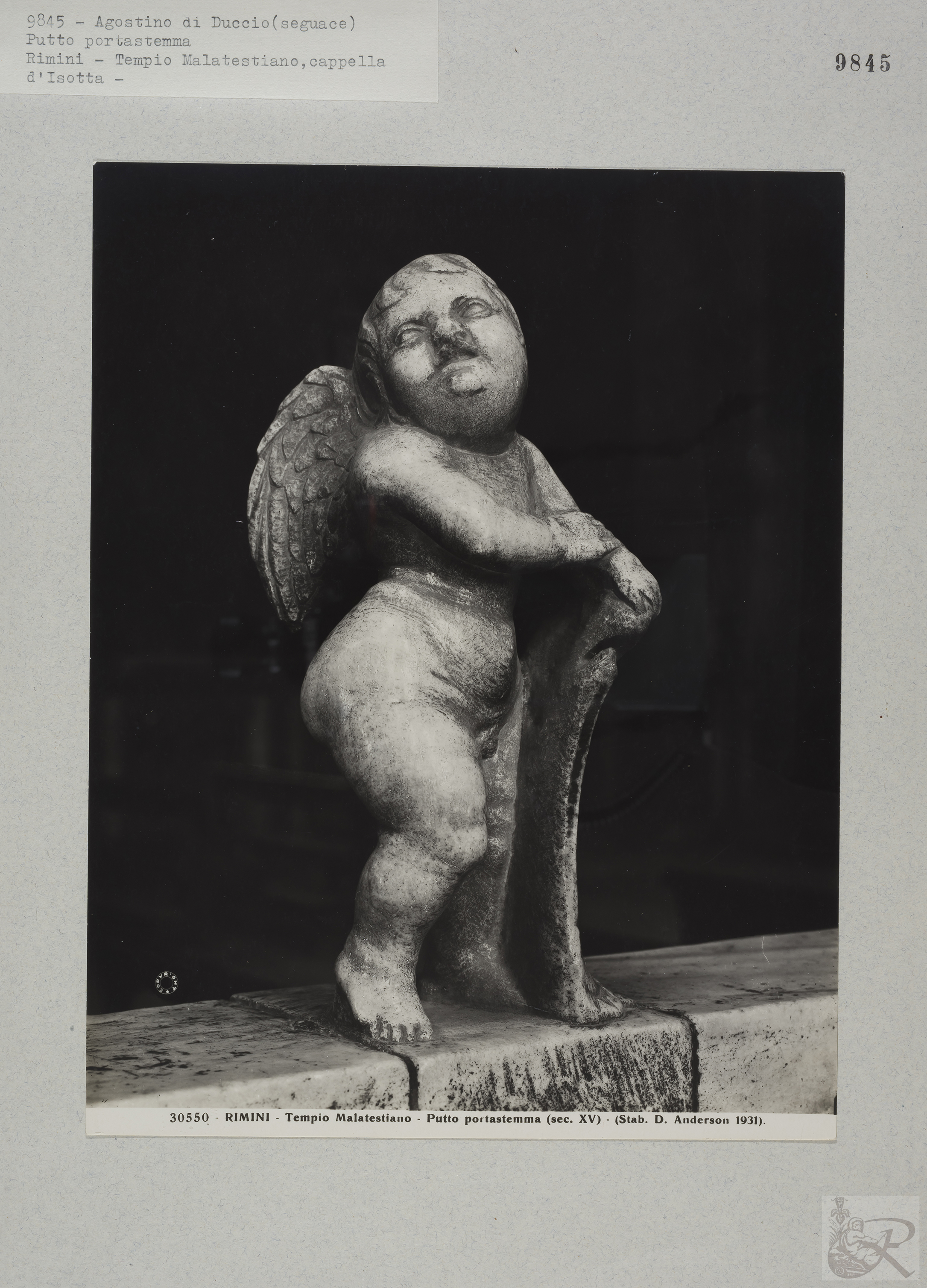 Immagine di anteprima