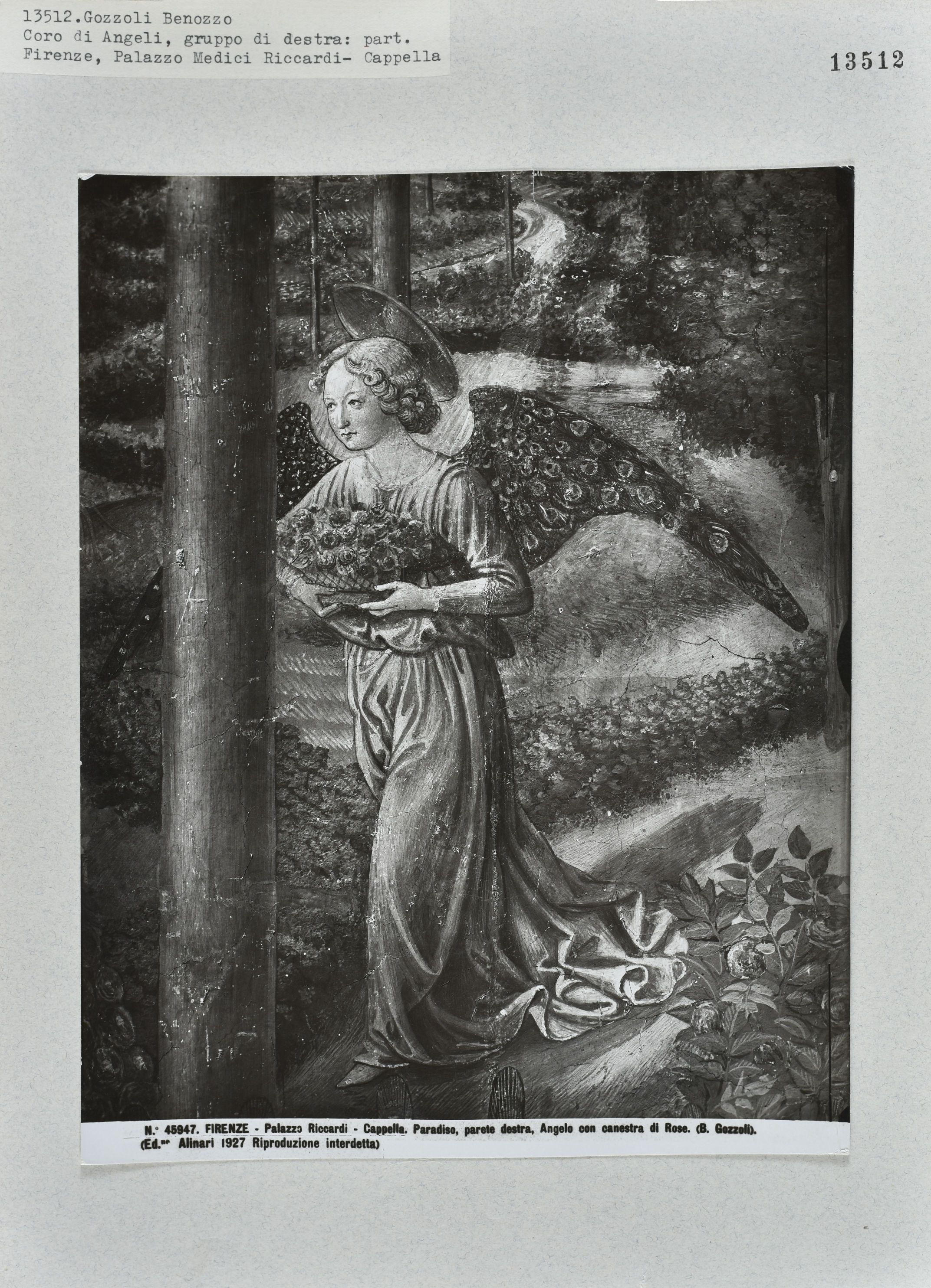 Immagine di anteprima