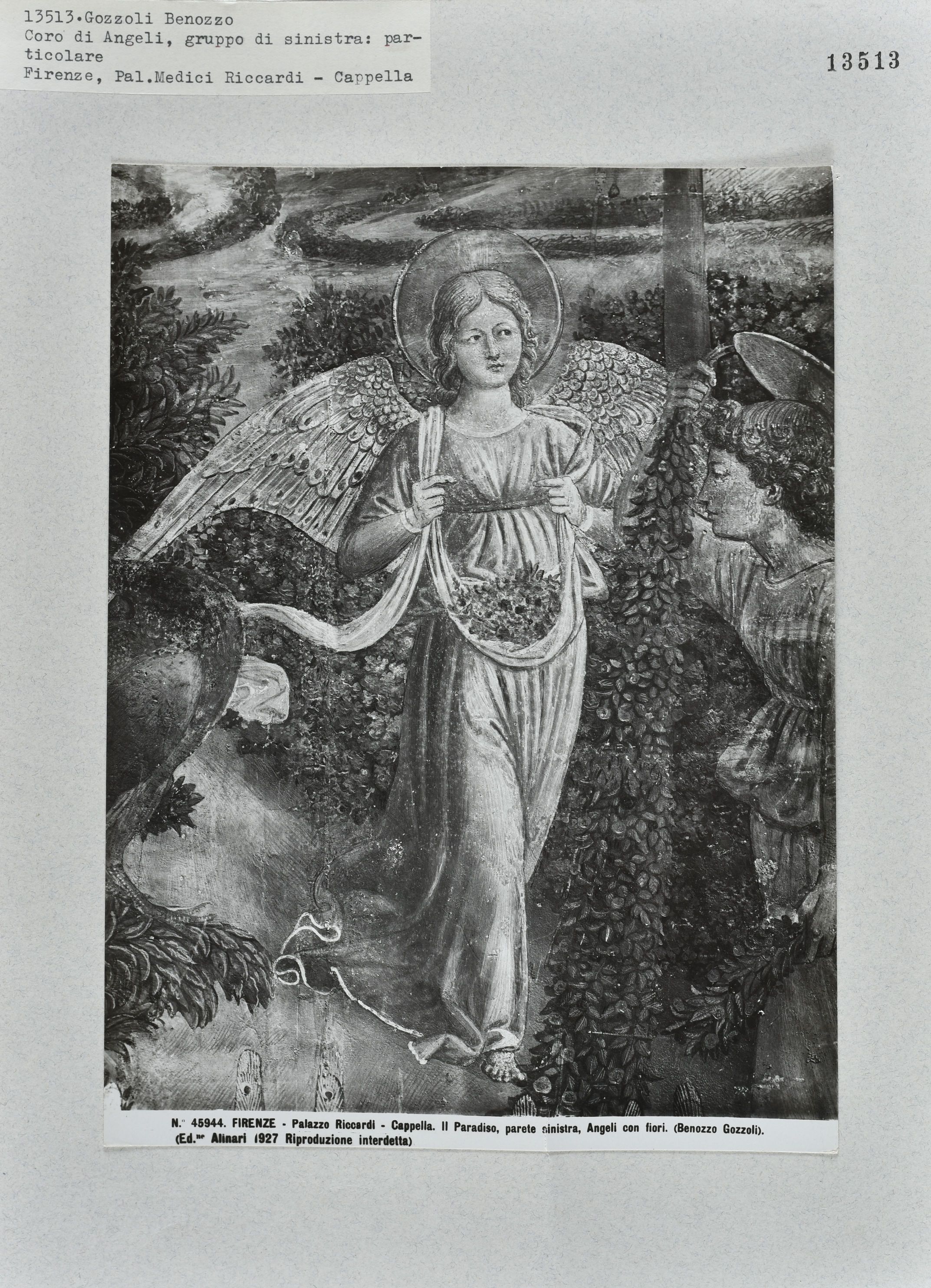 Immagine di anteprima