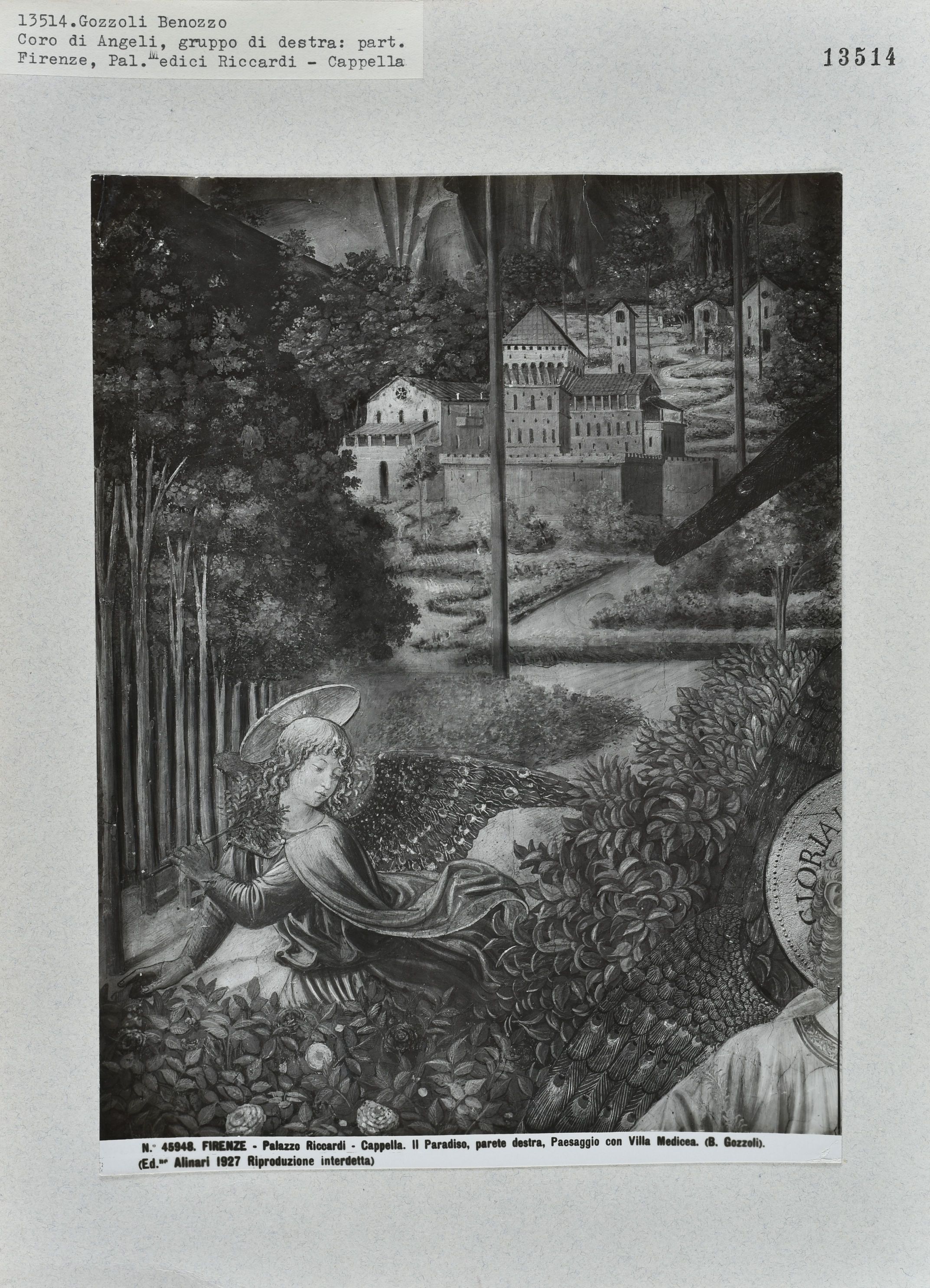 Immagine di anteprima