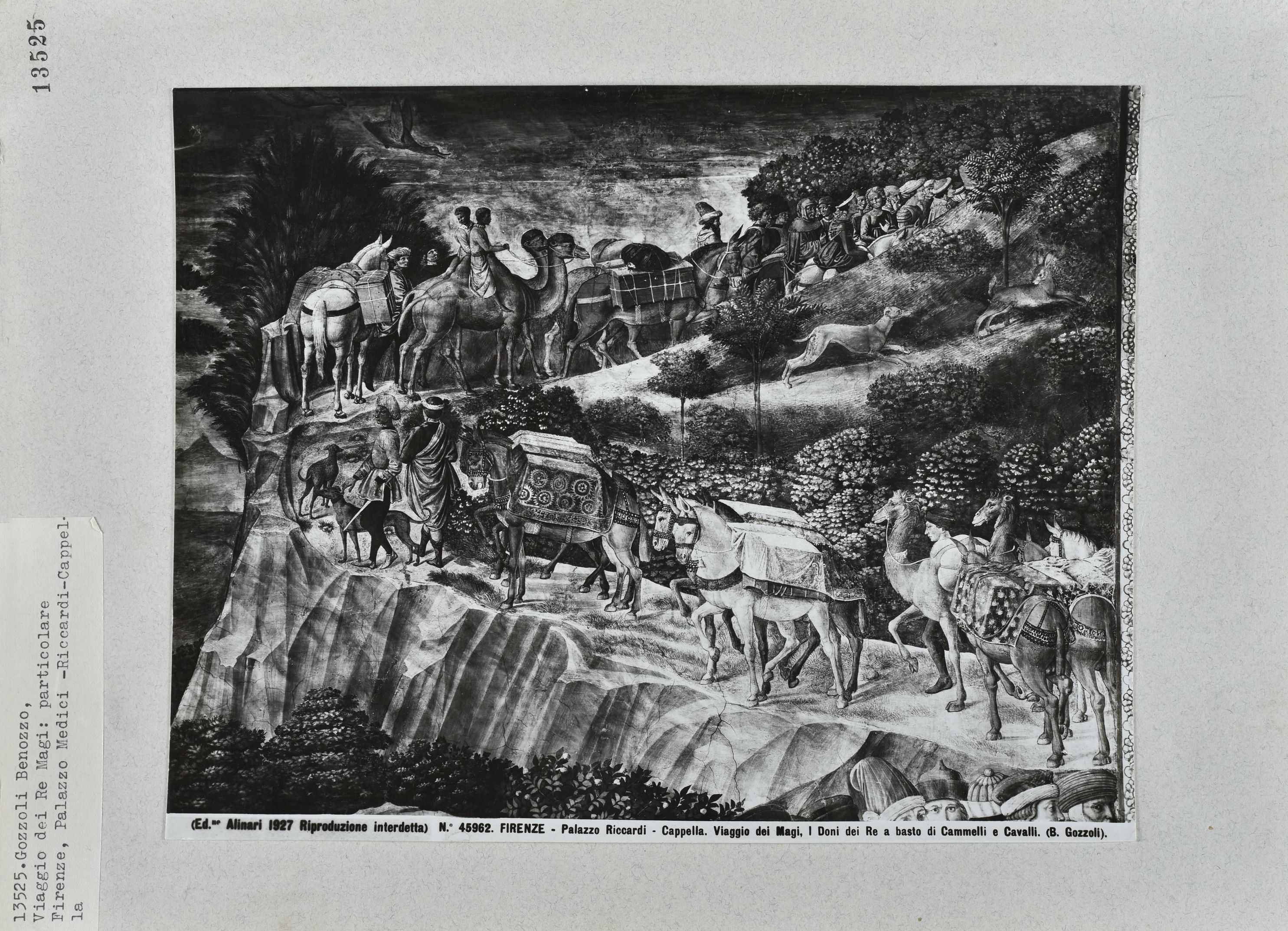 Immagine di anteprima