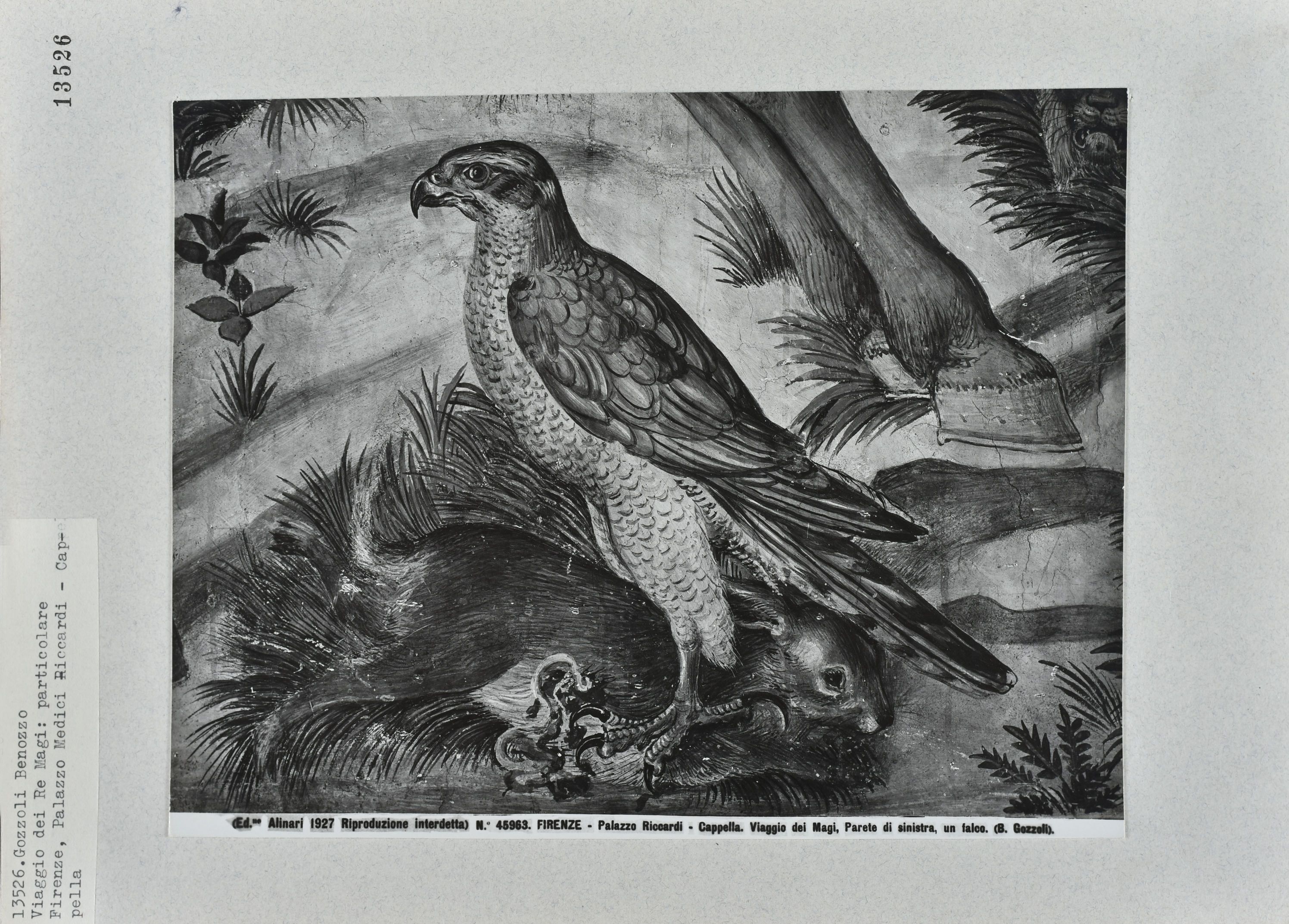 Immagine di anteprima