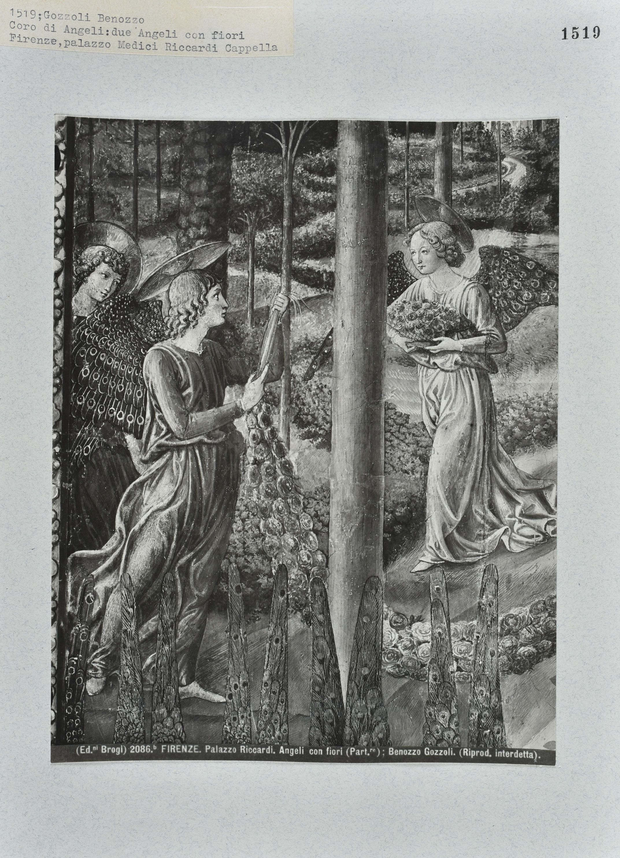 Immagine di anteprima