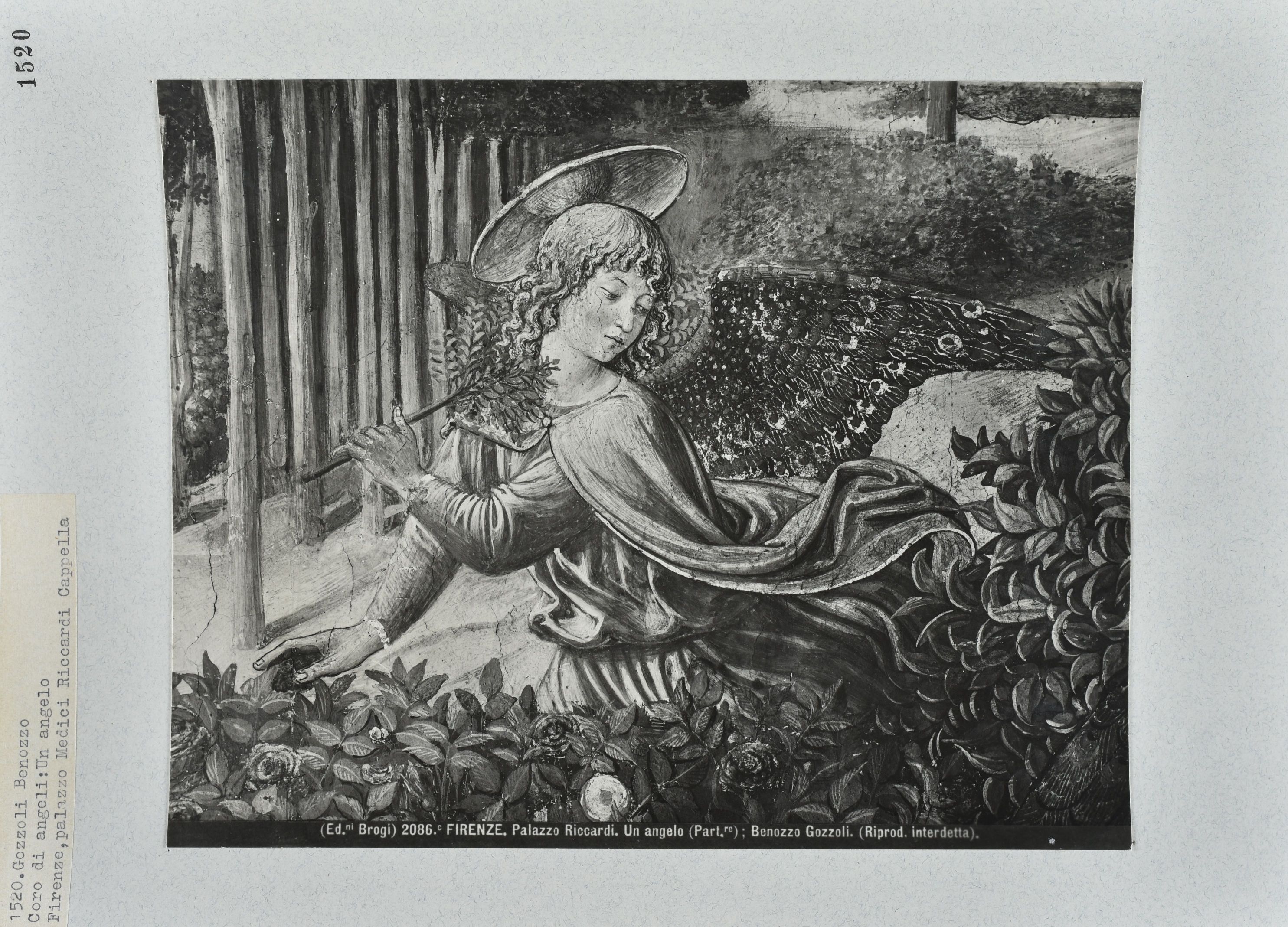 Immagine di anteprima