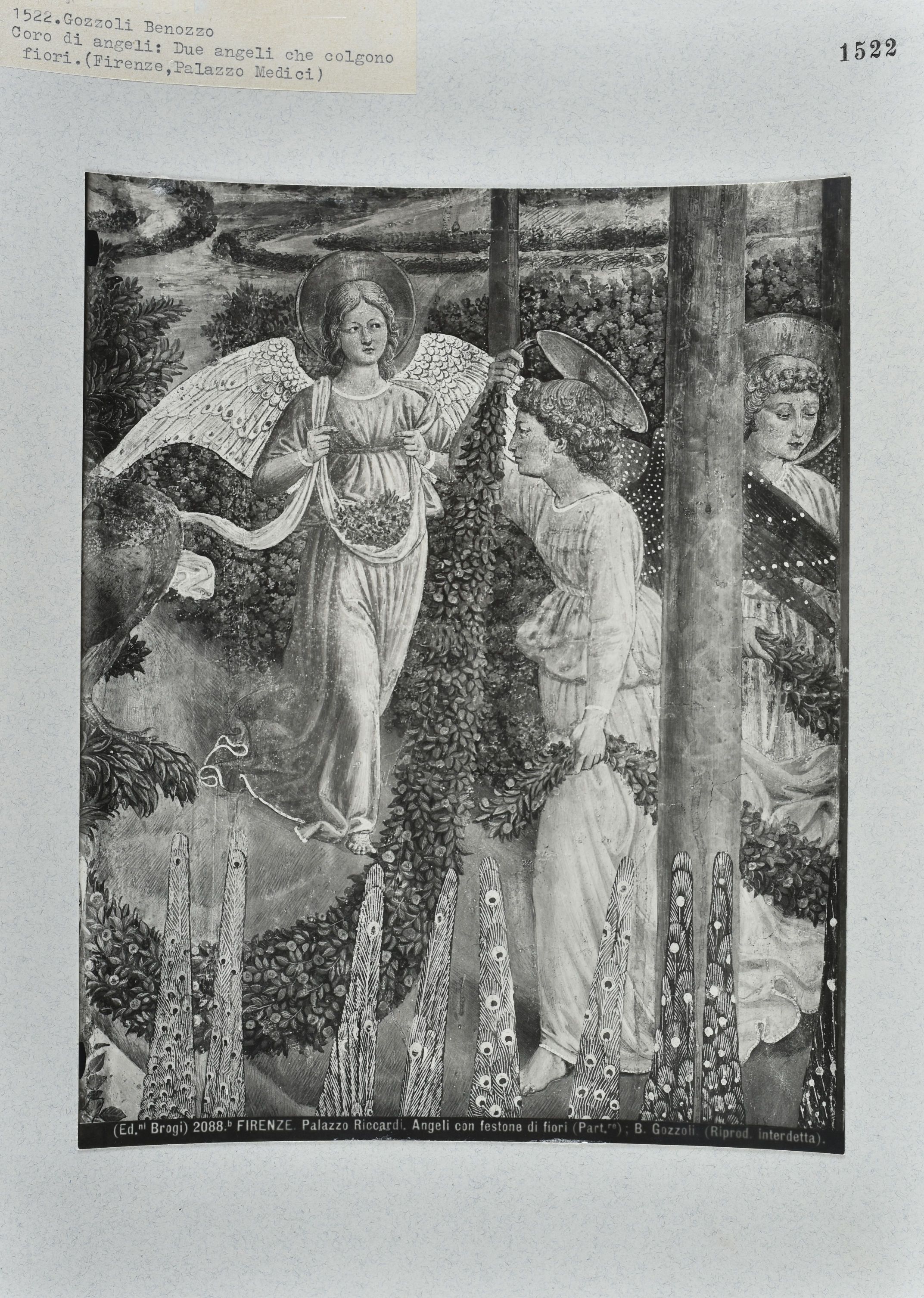 Immagine di anteprima