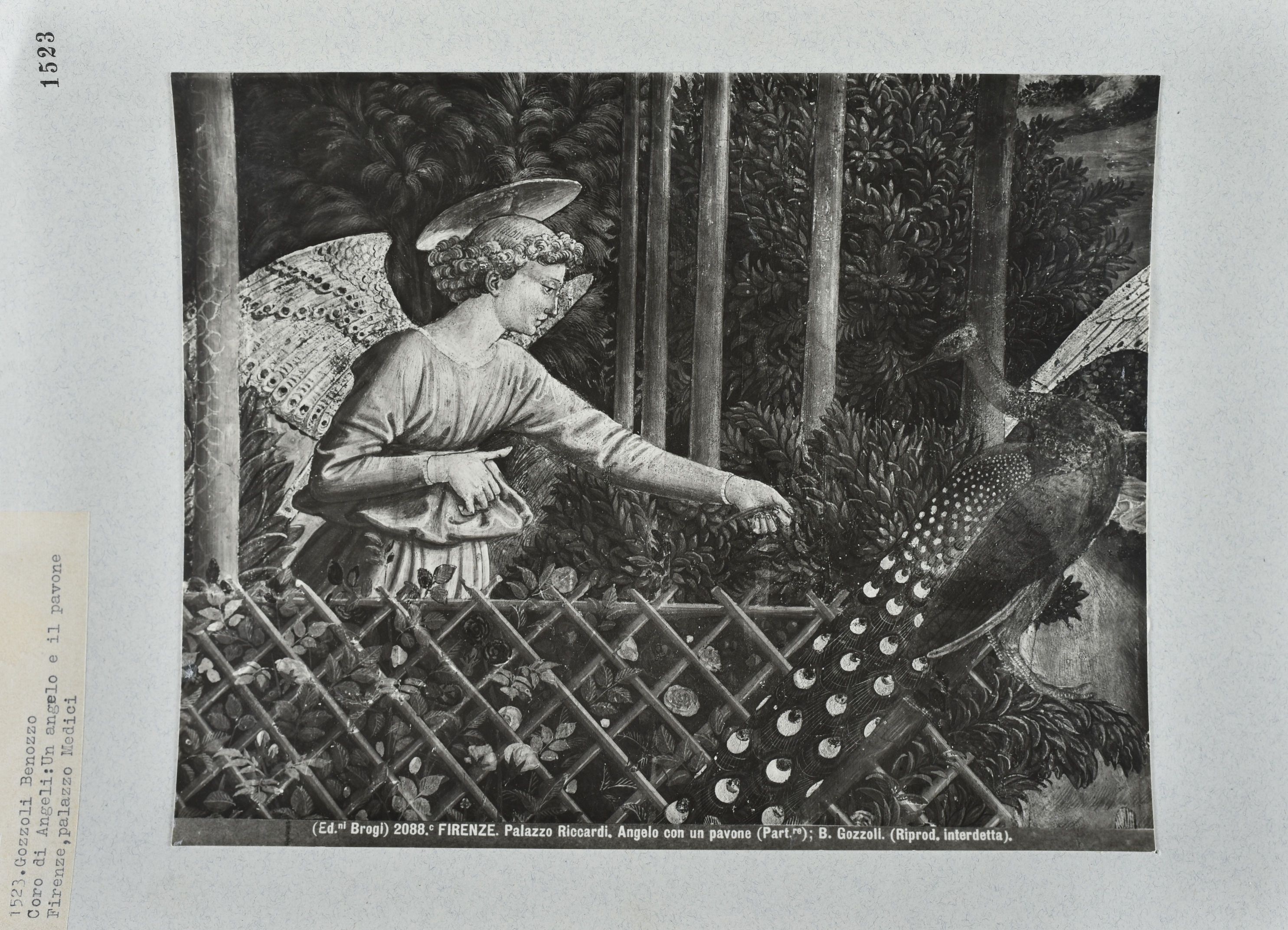 Immagine di anteprima