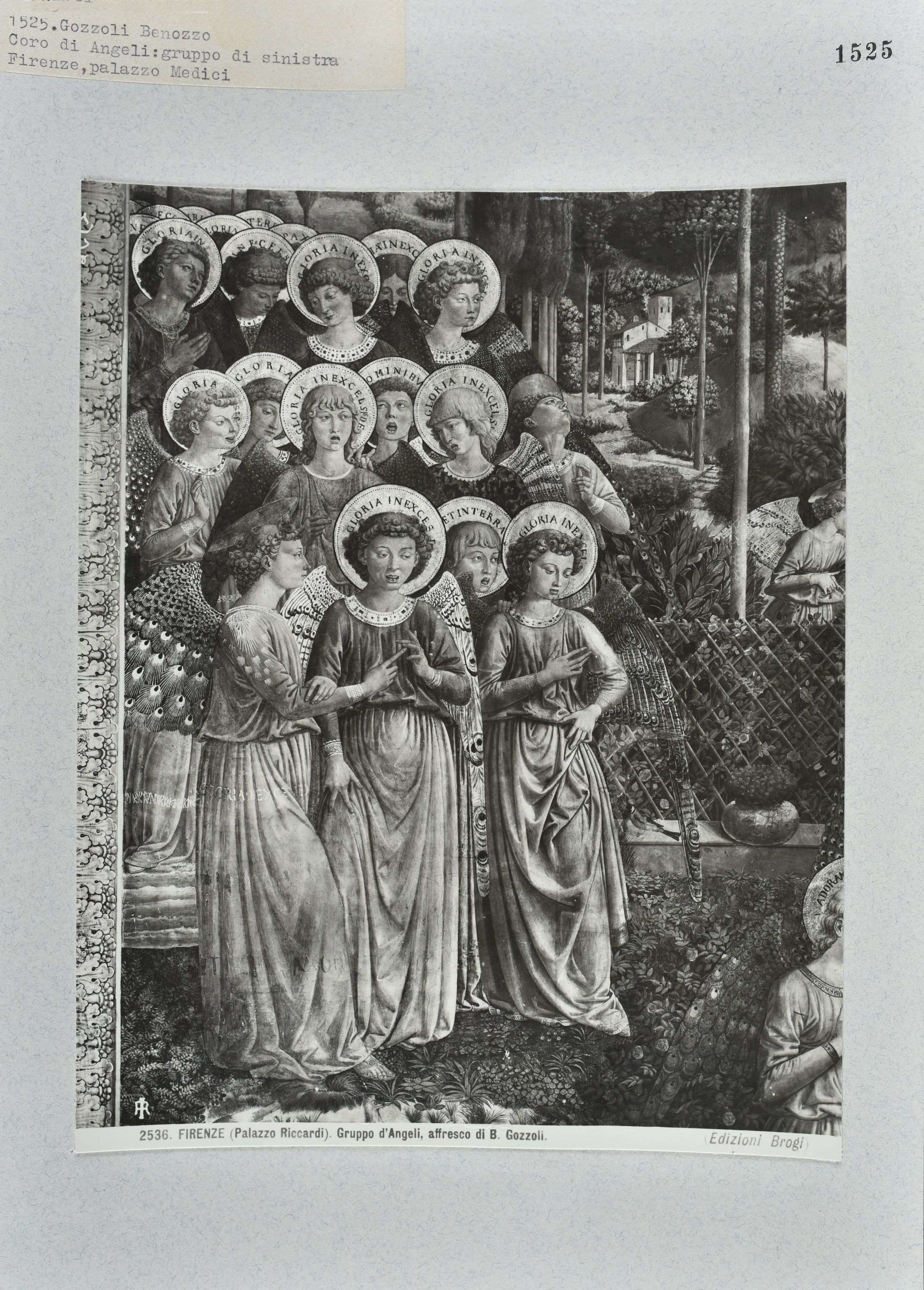 Immagine di anteprima