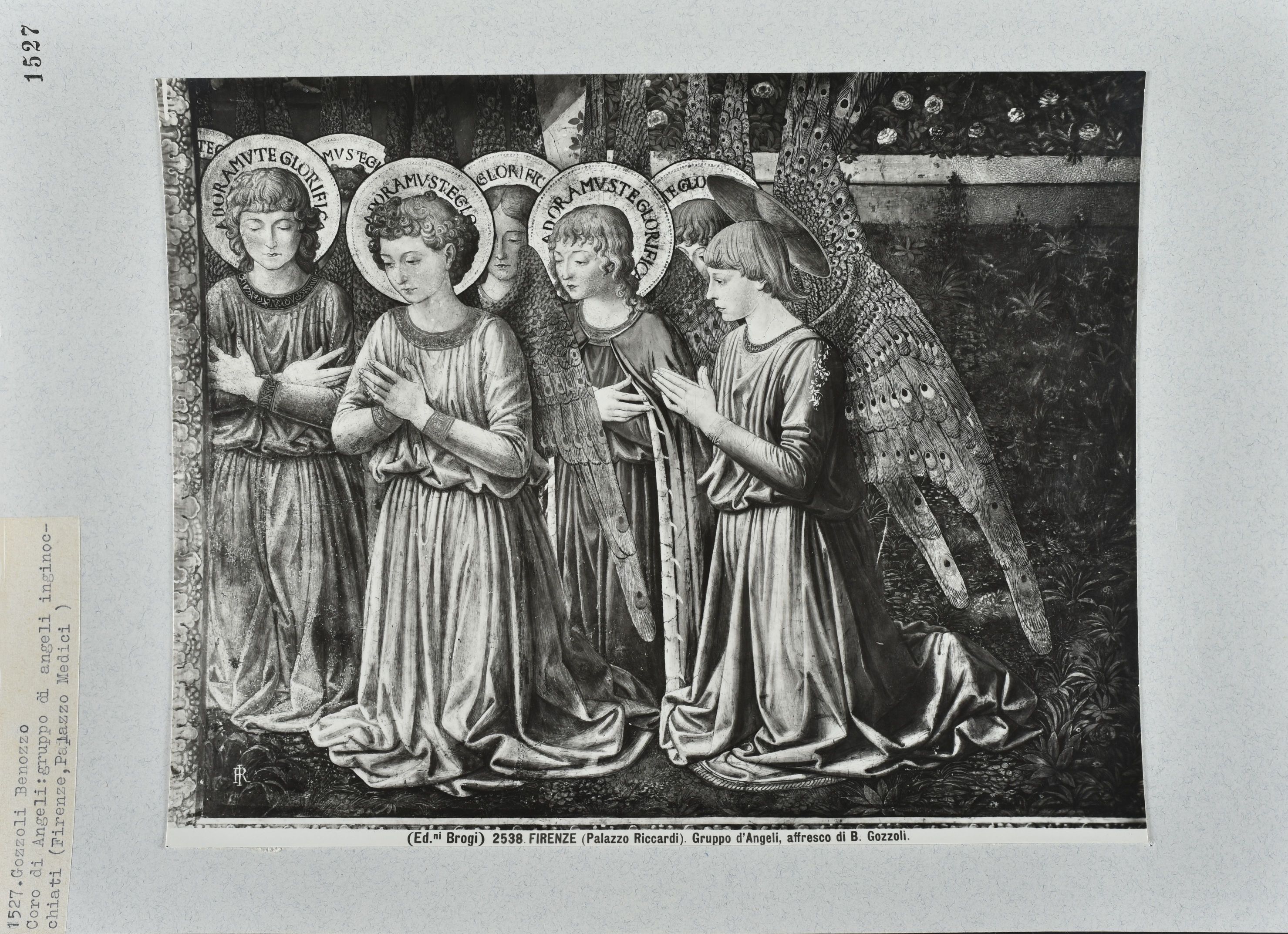 Immagine di anteprima