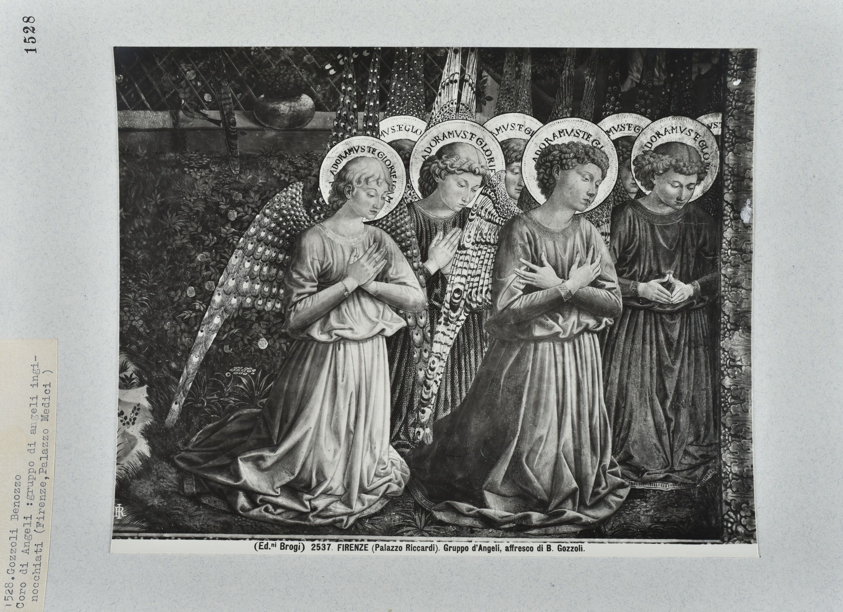 Immagine di anteprima