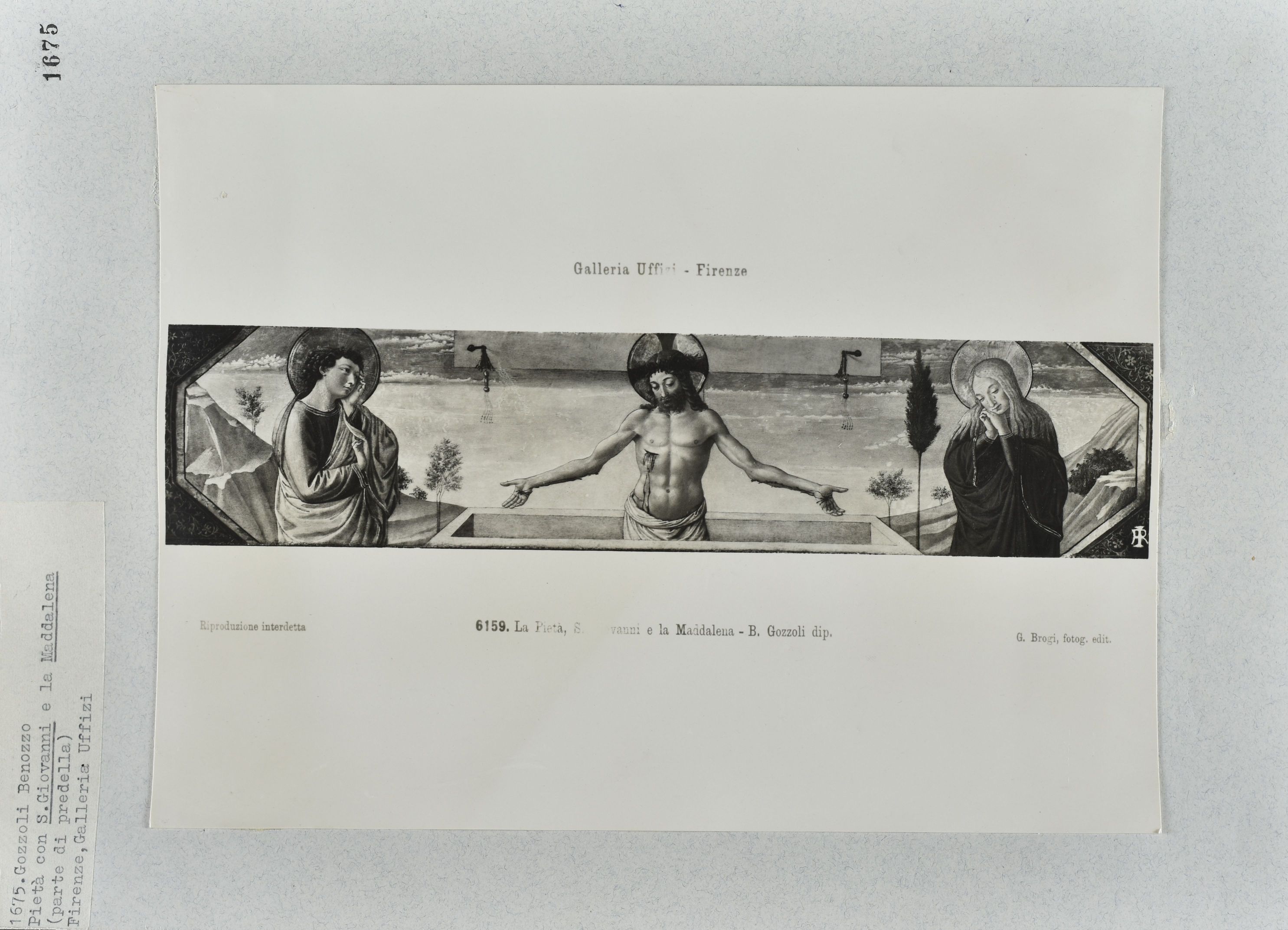 Immagine di anteprima