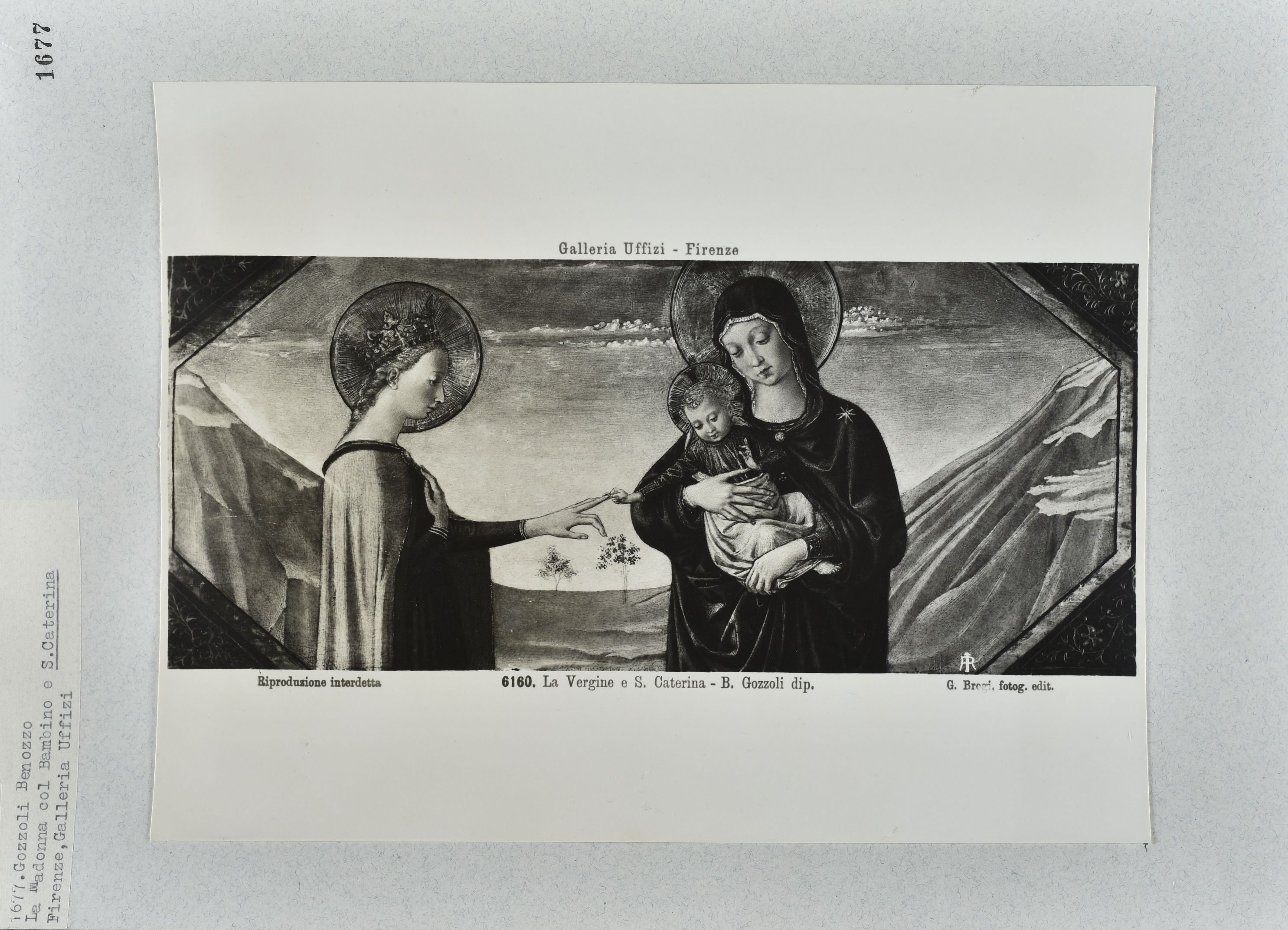 Immagine di anteprima