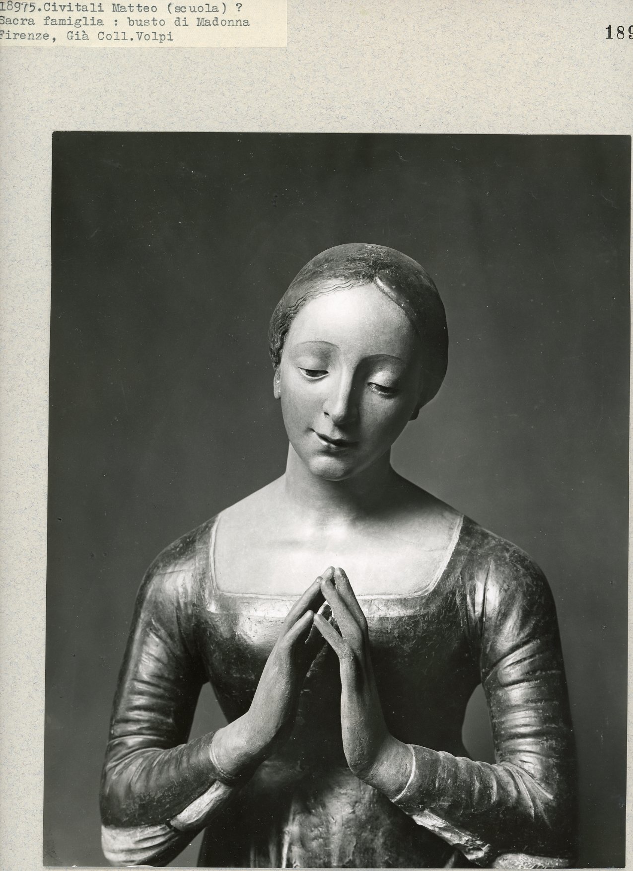 Immagine di anteprima