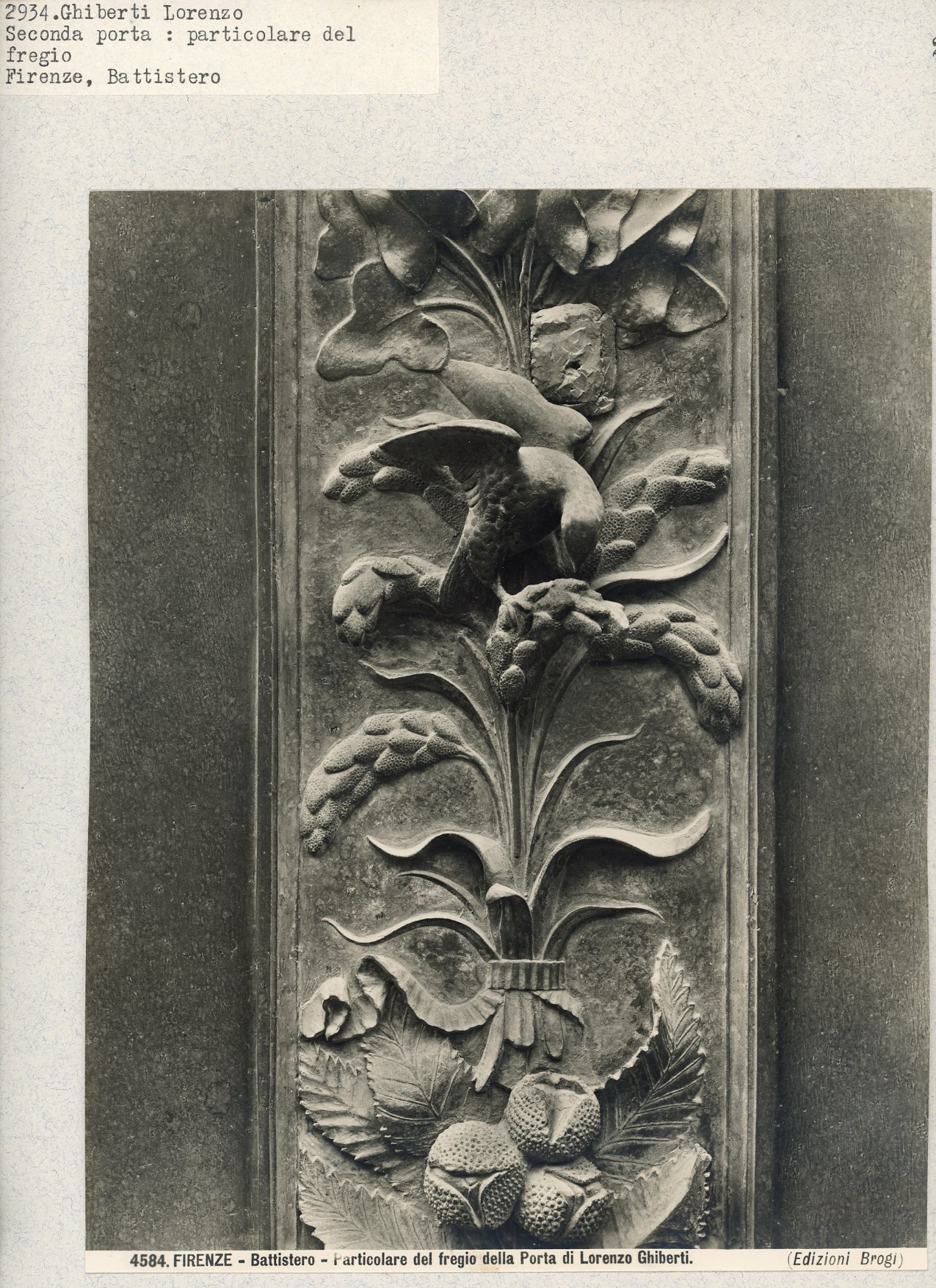 Immagine di anteprima