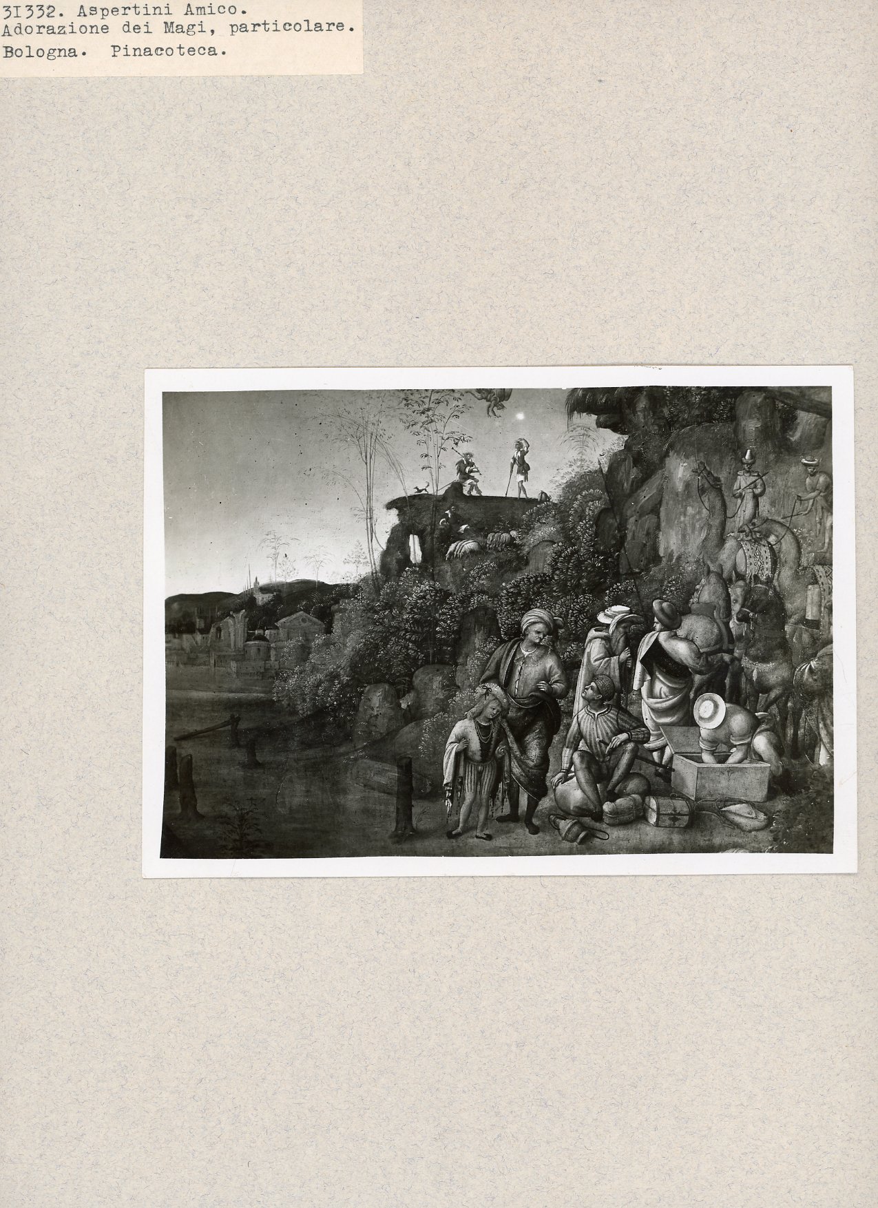 Immagine di anteprima