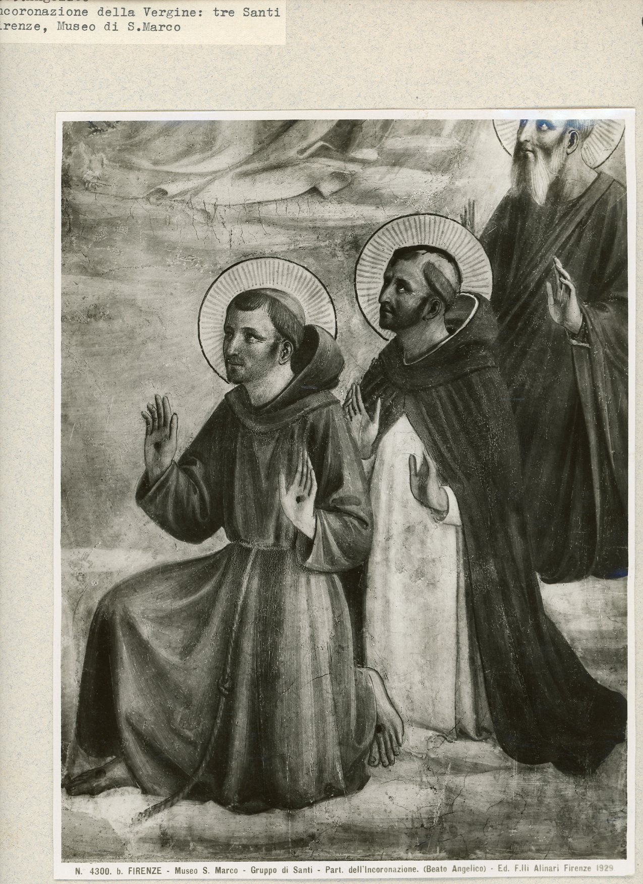 Immagine di anteprima