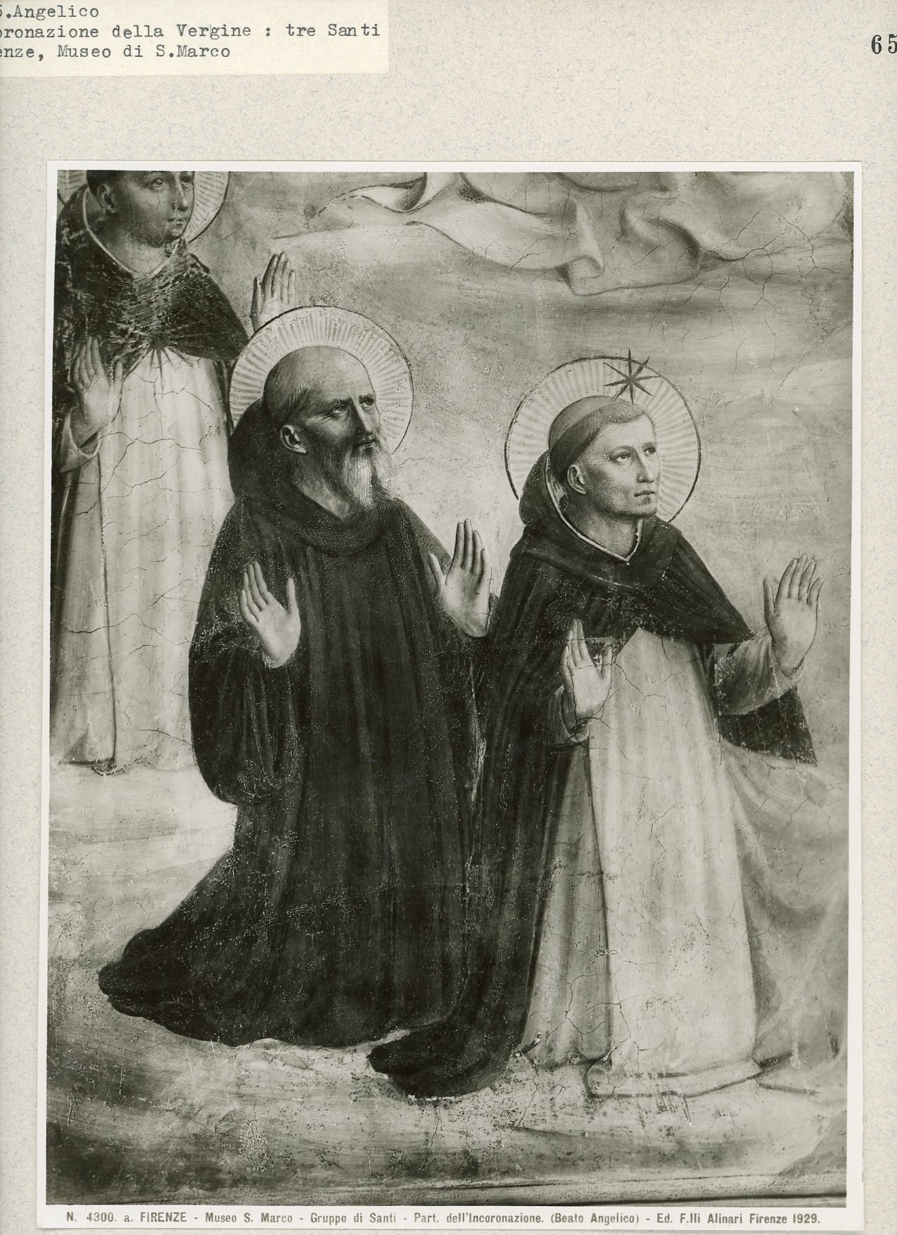 Immagine di anteprima