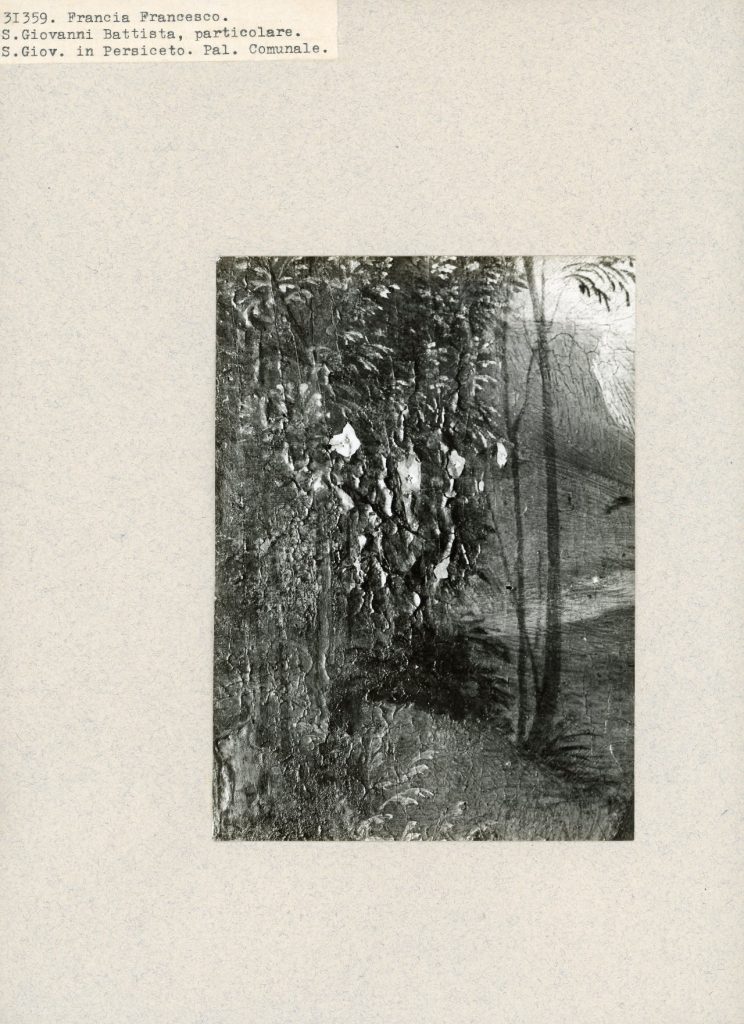 Gabinetto fotografico della Soprintendenza alle Gallerie per le province di Bologna, Ferrara, Forlì e Ravenna, Francesco Francia, part. del paesaggio di sfondo del San Giovanni Battista, gelatina ai sali d’argento, 1939, prima del restauro, Fototeca INSR, n. inv. 31359
