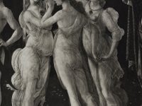 Sandro Botticelli, La Primavera (particolare)
ca. 1480, Firenze, Gallerie degli Uffizi
Fotografia Fratelli Alinari
Fototeca dell’Istituto Nazionale di Studi sul Rinascimento, n. inv. 42273