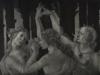 Sandro Botticelli, La Primavera (particolare)
ca. 1480, Firenze, Gallerie degli Uffizi
Fotografia Jacquier
Fototeca dell’Istituto Nazionale di Studi sul Rinascimento, n. inv. 1052
