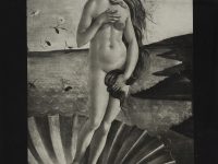 Sandro Botticelli, Nascita di Venere (particolare)
ca. 1485, Firenze, Gallerie degli Uffizi
Fotografia Brogi
Fototeca dell’Istituto Nazionale di Studi sul Rinascimento, n. inv. 97